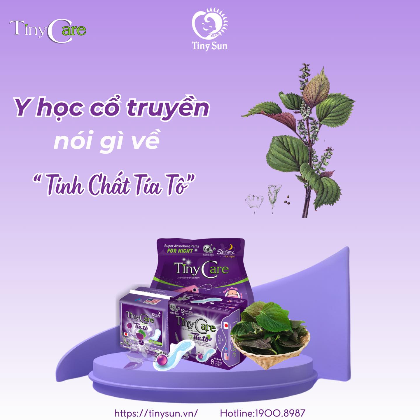 Băng Vệ Sinh TinyCare Tinh Chất Tía Tô - TinySun - Ảnh 2